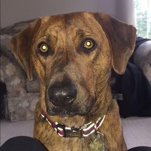 Meet your Posher, Kelsey